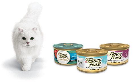 Petco fancy feast best sale