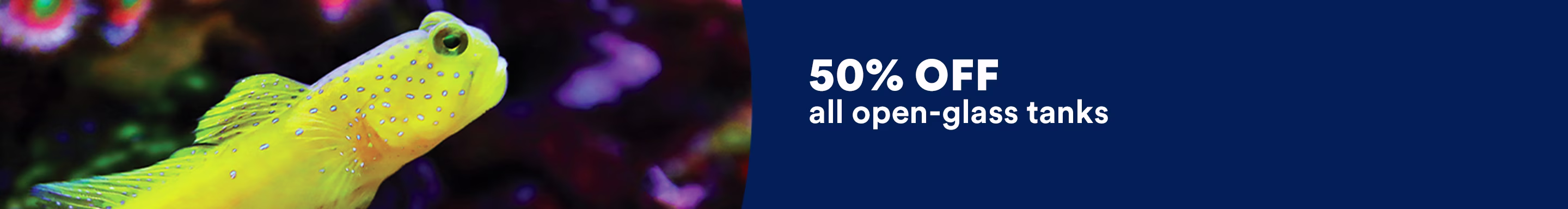50% OFF all open-glass tanks. Ends 10/31/26. Exclusions apply. See Details.