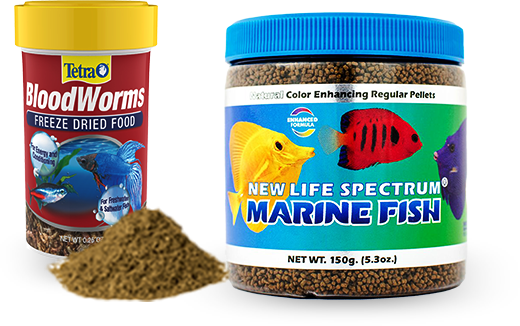 Pet fish food store near me 2025
