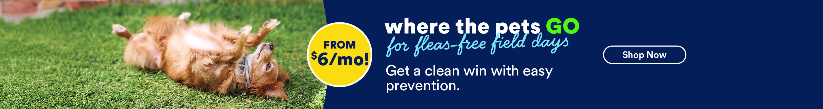 Where the pets go for fleas-free field days. Get a clean win with easy prevention. From $6 a month. Shop now.