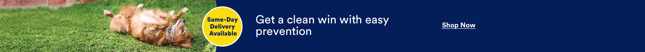 Get a clean win with easy prevention. Same-Day Delivery Available. Shop now.