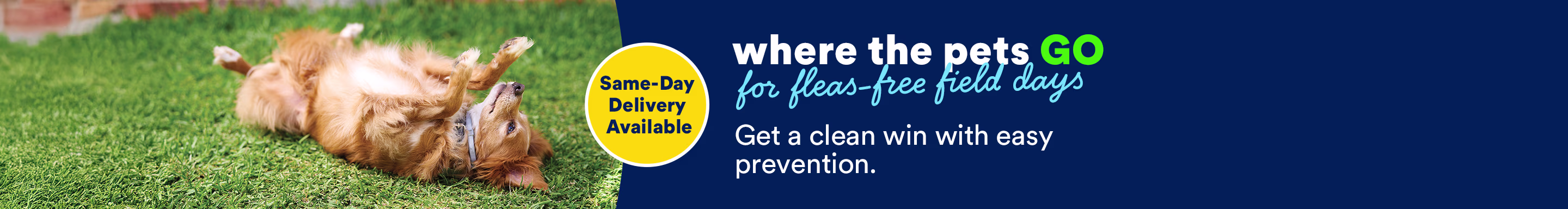Where the pets go for fleas-free field days. Get a clean win with easy prevention. Same-Day Delivery Available.