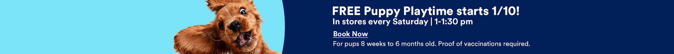 FREE Puppy Playtime starts 1/10! In stores every Saturday | 1-1:30 pm. Book Now. For pups 8 weeks to 6 months old. Proof of vaccinations required.