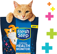 Petco 2024 fresh step