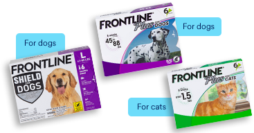 FRONTLINE Flea Tick Treatment for Dogs Petco