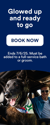 Glowed up and ready to go. Ends 7/6/25. Must be added to full-service bath or groom. Book now.