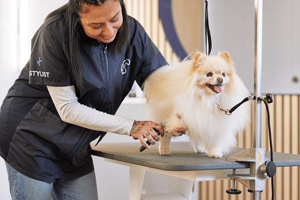 Pet grooming on sale walk ins