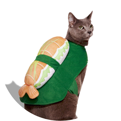 Top Pet Halloween Costumes for Dogs and Cats in 2023
