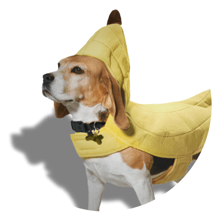 40 Best Dog Halloween Costumes & Cat Halloween Costumes