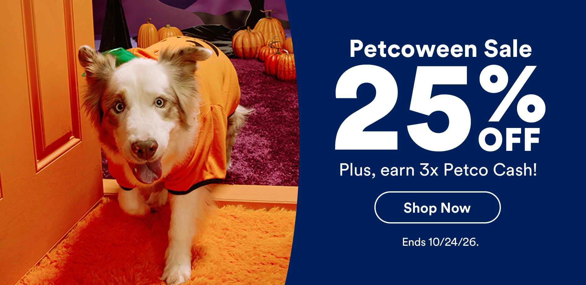 Petcoween. 25% off. Plus, earn 3x Petco Cash! Shop now. Ends 10/24/26.