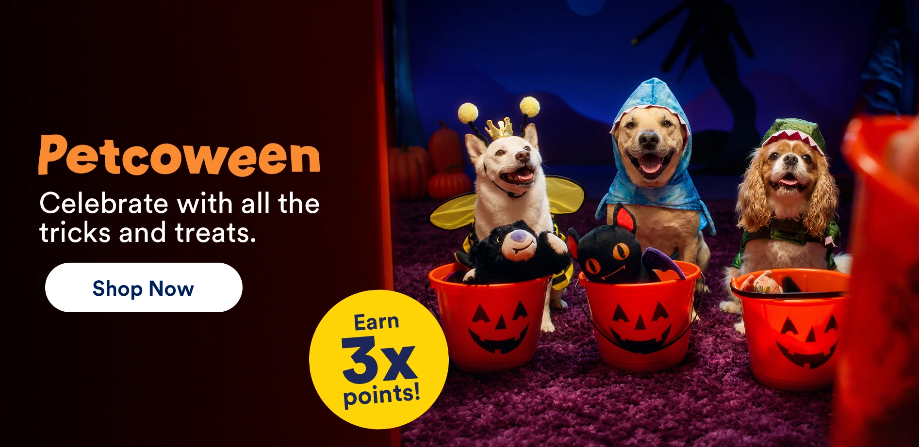 Petcoween. Celebrate with all the tricks and treats. Earn 3x points! Shop now.