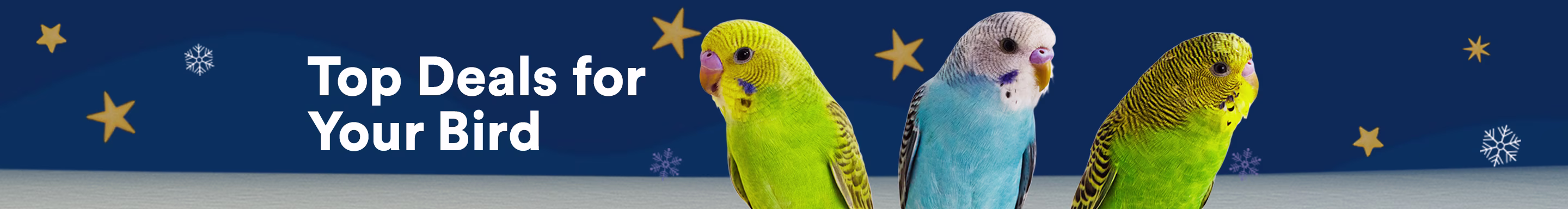 Top Deals for Your Bird.