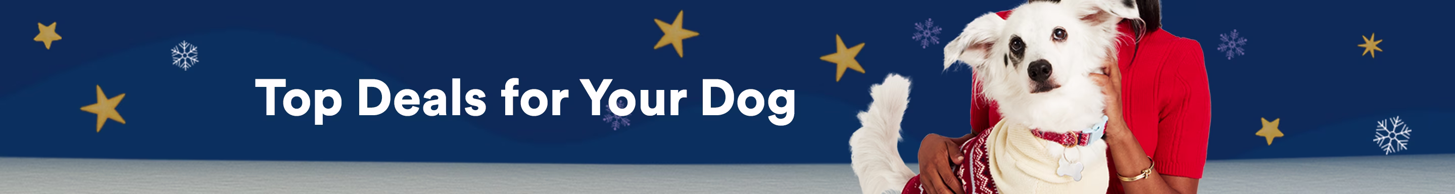 Top Deals for Your Dog.