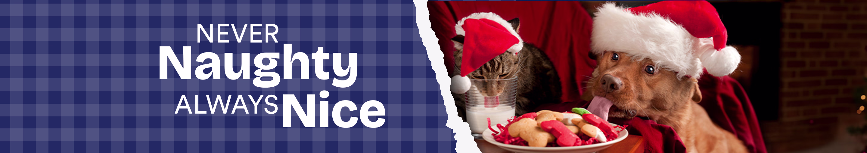 Never naughty always nice.