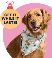 Petco grooming rates best sale