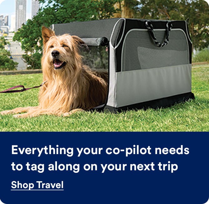 Everything your co-pilot needs to tag along on your next trip. Shop Travel.