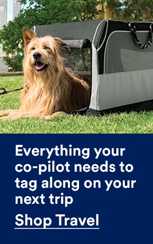 Everything your co-pilot needs to tag along on your next trip. Shop Travel.