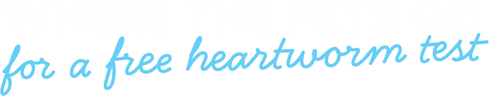 Where the pets go for a free heartworm test.