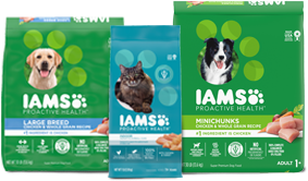 Petco iams shop puppy food