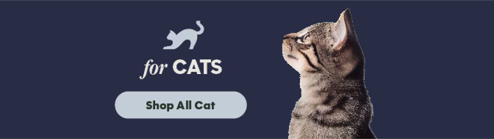 For cats. Shop all cat.