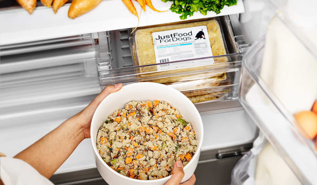 Just Food For Dogs being stored in the fridge.