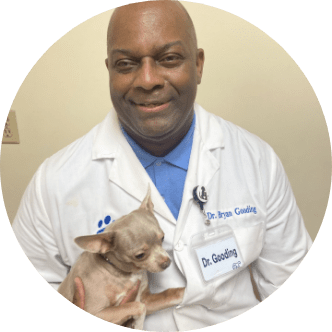 Petco Veterinary Services Quality Care for Your Pet Petco