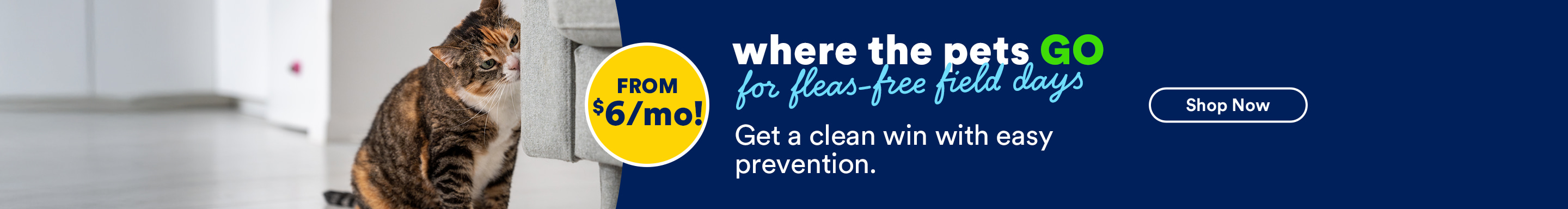 Where the pets GO for fleas-free field days. Get a clean win with easy prevention. From $6 a month. Shop now.