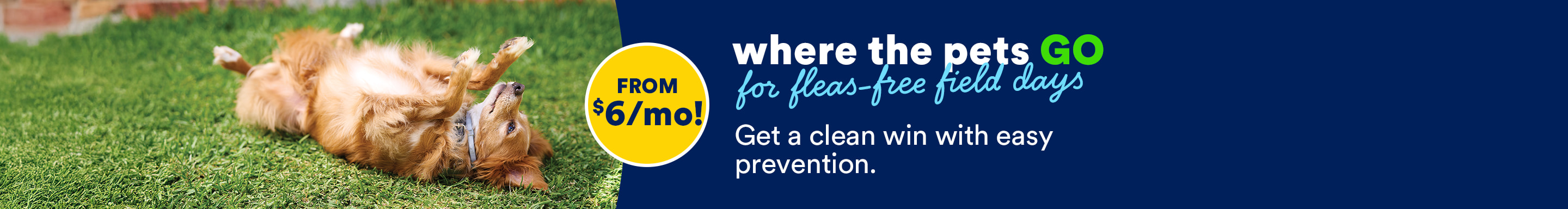 Where the pets go for fleas-free field days. Get a clean win with easy prevention. From $6 a month.