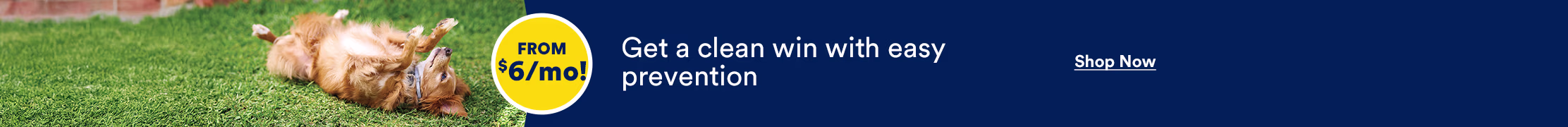 Get a clean win with easy prevention. From $6 a month. Shop now.