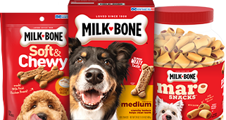 Petco milk outlet bone