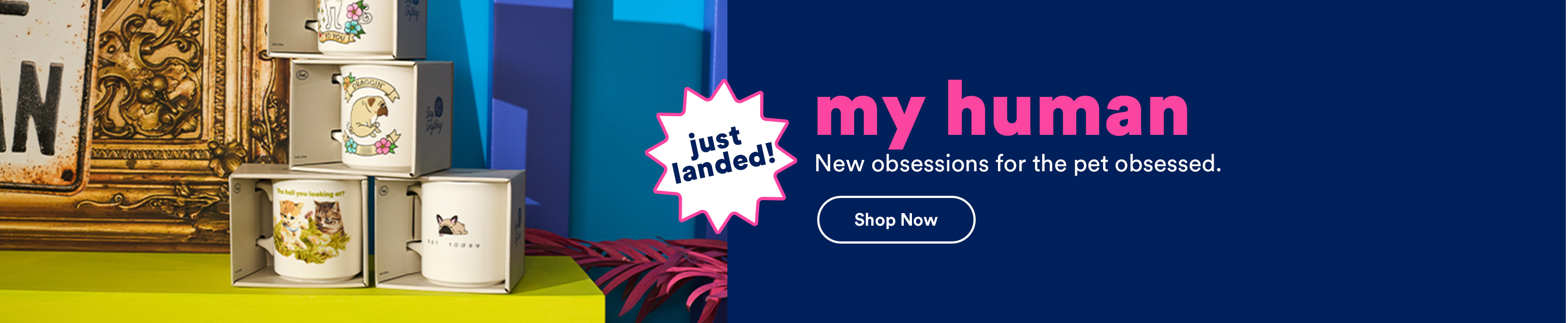 Just landed! My human. New obsessions for the pet obsessed. Shop now.