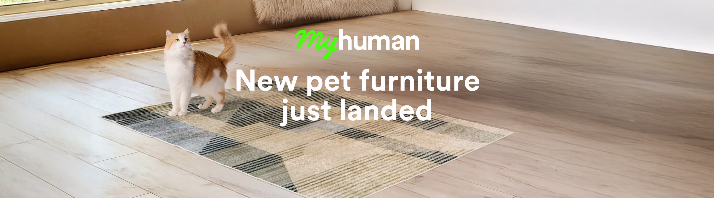 My Human. New pet furniture just landed. Shop now.