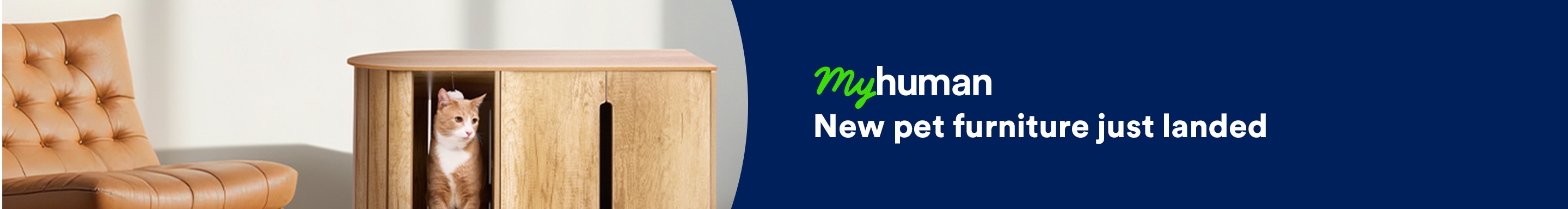 My human. New pet furniture just landed.