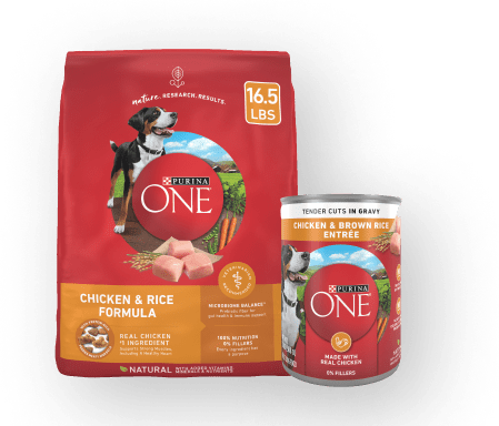 Purina ONE Dog Food Petco