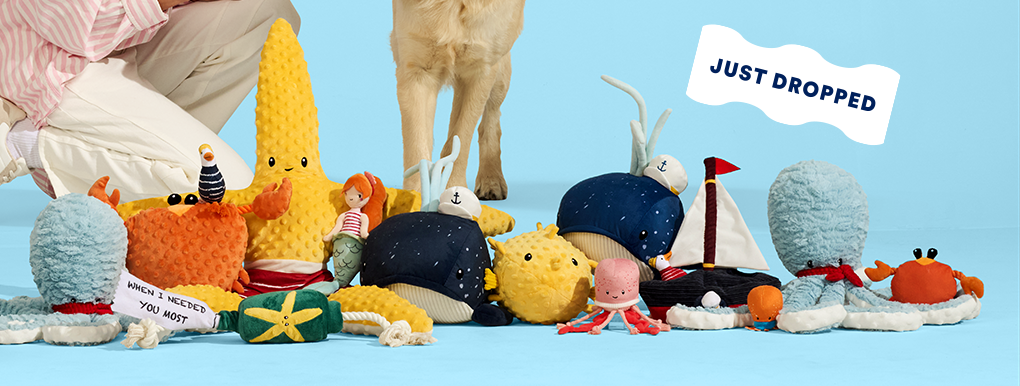 Petco Pet Supplies Pet Food Pet Products