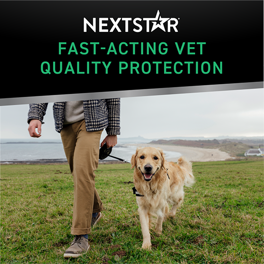 Nextstar Fast-Acting Vet Quality Protection.