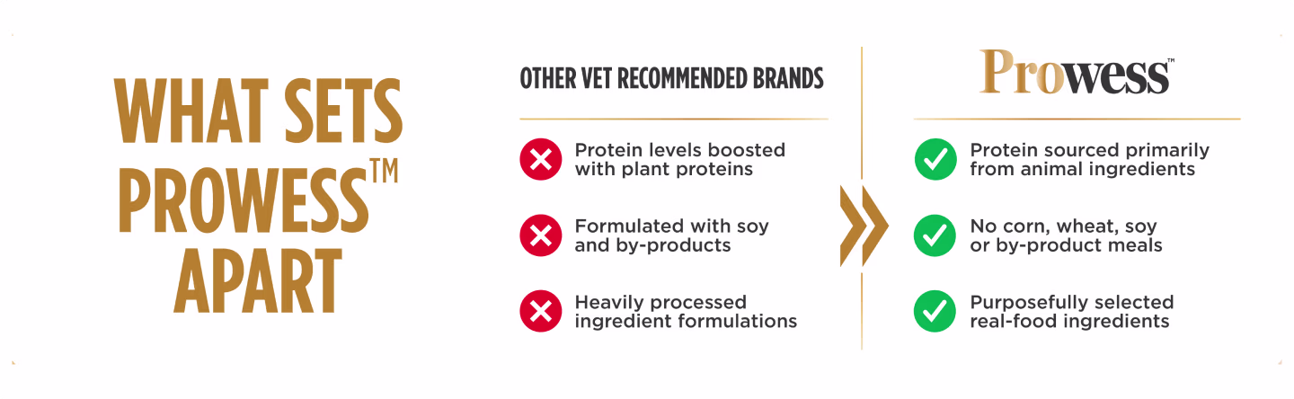 Nulo Prowess comparison chart vs other recommended brands.