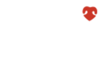 Wholehearted logo.