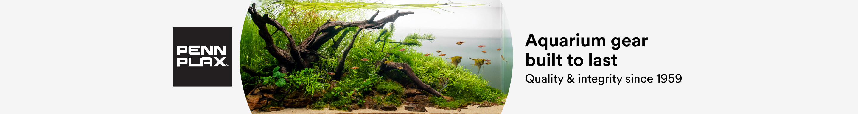 Penn Plax. Aquarium gear built to last. Quality & integrity since 1959.