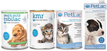 Kmr petco online