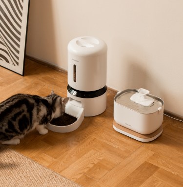 PETLIBRO Automatic Cat Feeders Petco