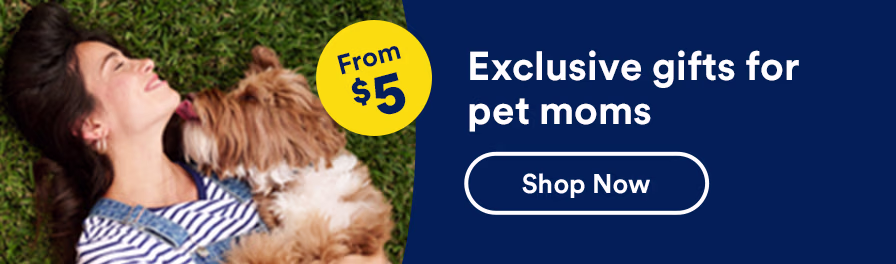 petmoms