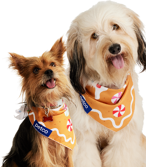 Dog Jerseys, Pet Carriers, Harness, Bandanas, Leashes