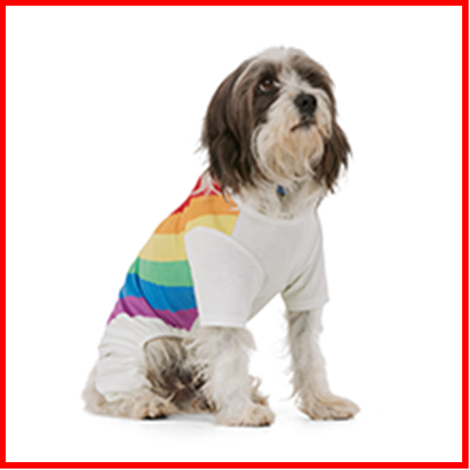 https://assets.petco.com/petco/image/upload/f_auto,q_auto:best/pride-shop_quicktiles_dog_220x220.png