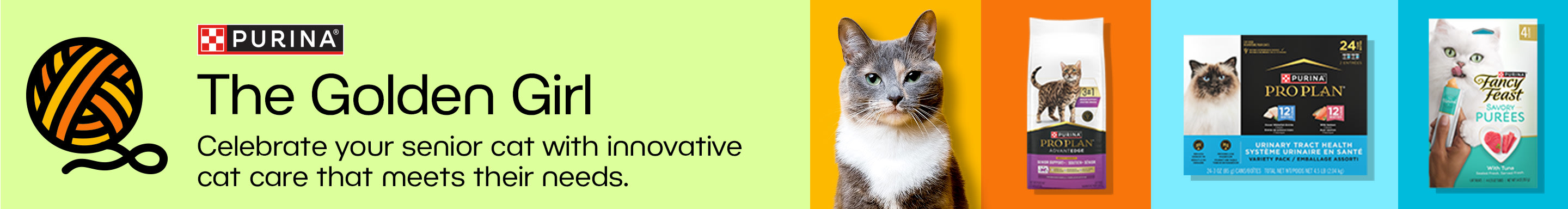 Purina. The Golden Girl. Celebrate your senior cat with innovative cat care that meets their needs.