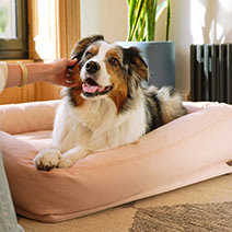 https://assets.petco.com/petco/image/upload/f_auto,q_auto:best/reddy-brand-071723-qt-beds