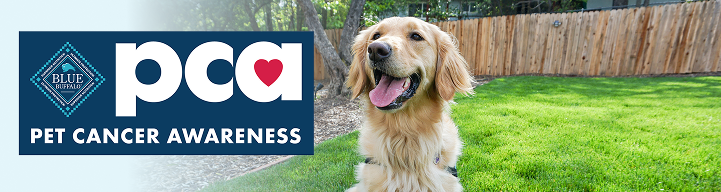 PCA - Pet Cancer Awareness logo with Irish Setter dog sitting on a lawn.
