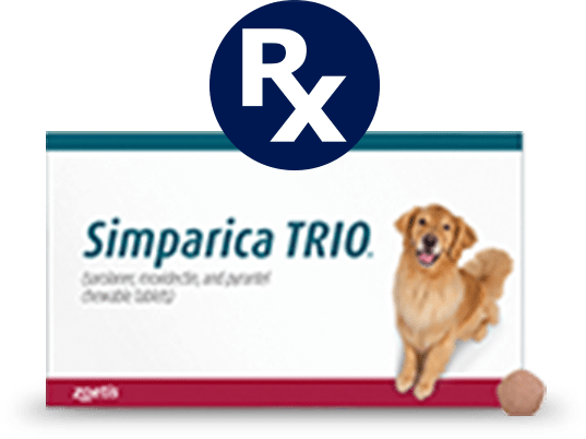 Bravecto Flea Tick Chews for Dogs 44 88 lbs 3 Month Supply