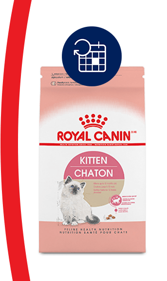 Dry Cat Food Kittens Adults Seniors Petco