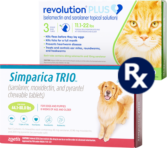 Prescription Heartworm Medicine & Prevention for Cats Petco